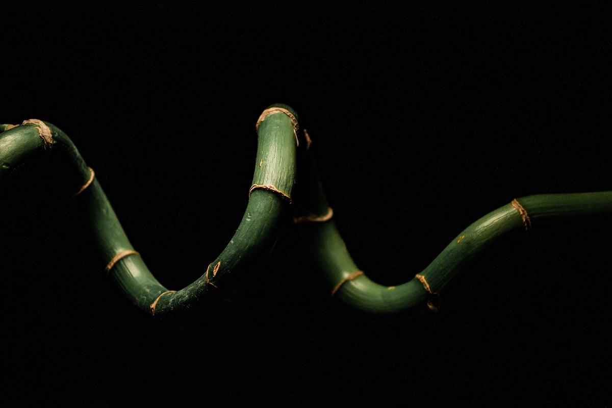 Calze Traspiranti E Morbide Calze In Fibra Di Bambù Uomo/donna - Pacco Da 6/12 Paia, Taglio Basso Invisibile, Traspiranti E Comode Calze Multicolore - Foto 8